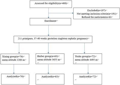 Pain control and neonatal outcomes in 211 women under epidural anesthesia during childbirth at high altitude in Qinghai, China
